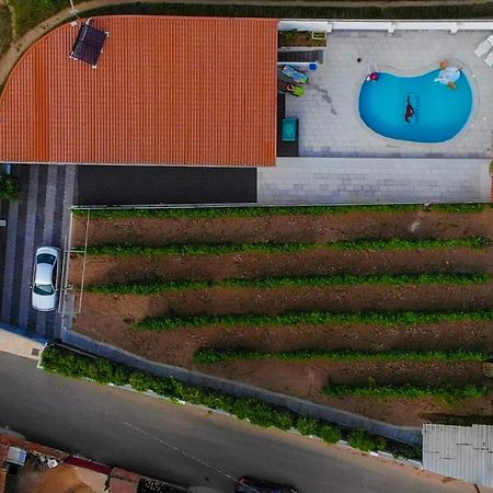 Casinha Das Bonecas - Casa Com Piscina Privada Aveiro Bagian luar foto