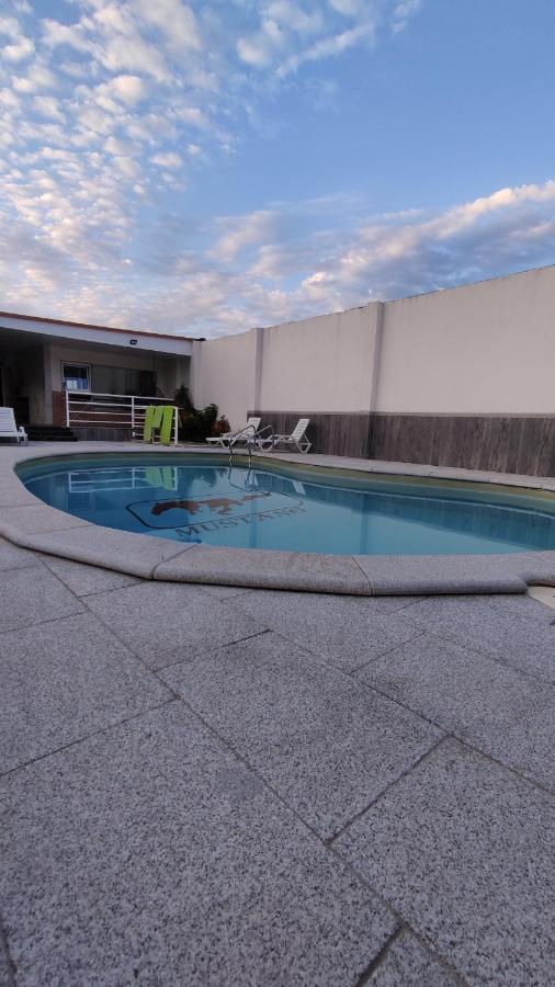 Casinha Das Bonecas - Casa Com Piscina Privada Aveiro Bagian luar foto